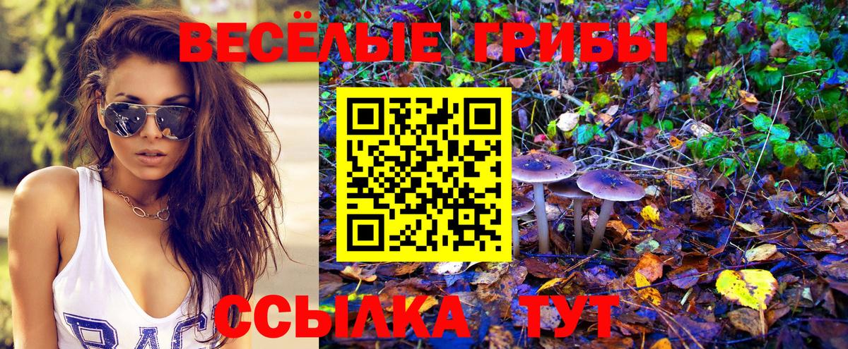 Железногорск  Псилоцибиновые грибы Psilocybe  Вход с VPN 